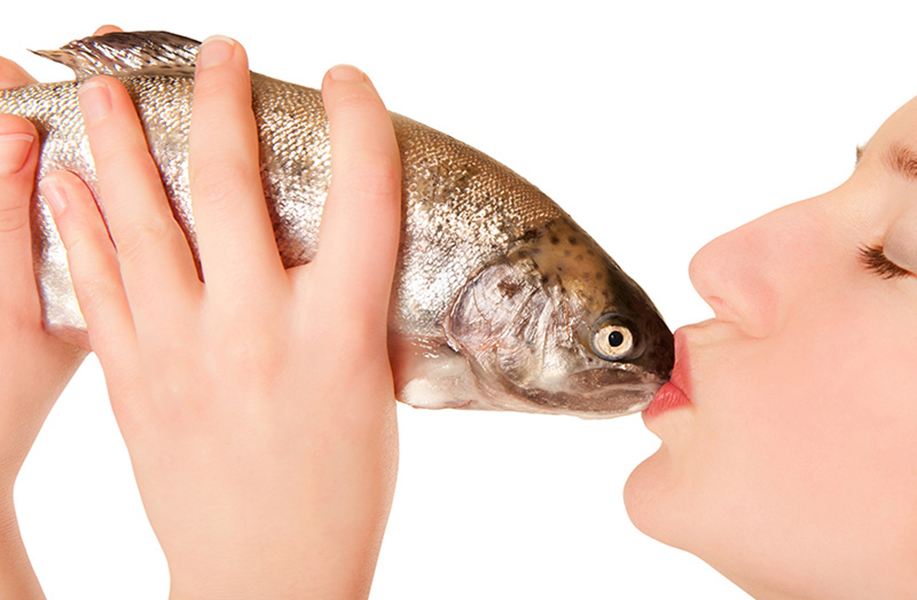 kussen met een vis